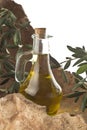 Olive oil in glass bottle Royalty Free Stock Photo