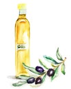 Olive Oil in a glass bottle Royalty Free Stock Photo