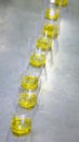 Olive oil in glass cups for tasting. a steel table in the kitchen of an Italian restaurant.