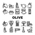 olive oil green branch leaf icons set vector Royalty Free Stock Photo