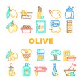 olive oil green branch leaf icons set vector Royalty Free Stock Photo