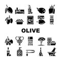 olive oil green branch leaf icons set vector Royalty Free Stock Photo