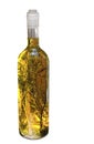 Bottle of olive oil along with herbs on white background. Royalty Free Stock Photo