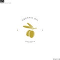 Olive oil. Isolated logo