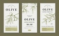 Olive oil label, greek tree logo on emblem. Italian organic sketch art, vegetable diet food, plant harvest. Botanical