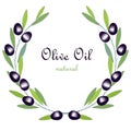 Olive Oil label, olive branch wreath with green leafs and black fruits on white Royalty Free Stock Photo