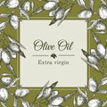 Olive oil label template with graphic olive branch