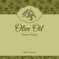 Olive oil label template with graphic olive branch