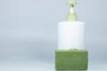 Olive oil liquid soap and solid soap in green color. Photographed on white background. Close up