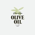 Olive Oil Logo and Label. Olives with leaves illustration at engraving style.
