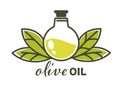 Olive oil natural product in glass bottle vector Royalty Free Stock Photo