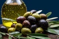 Olive Oil Production and Extraction Process. Olive Harvest.