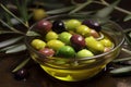 Olive Oil Production and Extraction Process. Olive Harvest.
