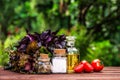 Olive oil, salt and spices. Ingredients for summer salad. Fresh greens and tomatoes for salad. Royalty Free Stock Photo