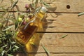 Olive oil with olive tree branches Royalty Free Stock Photo