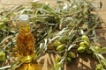 Olive oil with olive tree branches Royalty Free Stock Photo