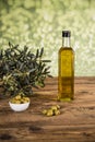 Olive oil, olive tree and green olives, bottles of olive oil Royalty Free Stock Photo