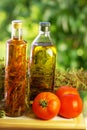 Olive oil,vinegar, oregano . Royalty Free Stock Photo