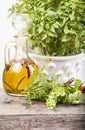 Olive oil and herb pot on wood Royalty Free Stock Photo