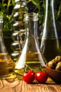 Olive oils in bottles with ingriedients Royalty Free Stock Photo