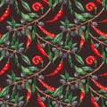 Olive oliva branch red hot chili chilli spicy pepper seamless pattern texture background Royalty Free Stock Photo