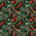 Olive oliva branch red hot chili chilli spicy pepper seamless pattern texture background Royalty Free Stock Photo