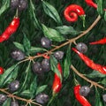 Olive oliva branch red hot chili chilli spicy pepper seamless pattern texture background Royalty Free Stock Photo