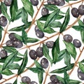 Olive oliva branch seamless pattern texture background