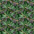 Olive oliva branches seamless pattern texture background