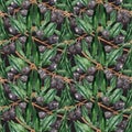 Olive oliva branches seamless pattern texture background