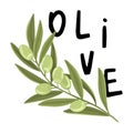 Branch of olive with fruits. The inscription Oliva. Vector print design illustration.