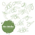 Hand drawn vector collection olive branch in linocut style