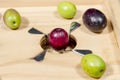 Olive over blades of a traditional wooden slitter