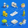 Olive Production Isometric Flowchart