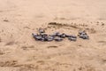 Olive Ridley Sea Turtle & x28;Lepidochelys olivacea& x29; in Mexico, being released as part of conservation project Royalty Free Stock Photo