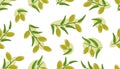 Olive seamless pattern. Branches with green olives on white background. Royalty Free Stock Photo