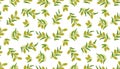 Olive seamless pattern. Branches with green olives on white background. Royalty Free Stock Photo