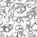Olive seamless pattern. Hand drawn vector background with branch of olive tree. Isolated drawing on white background Royalty Free Stock Photo