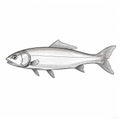 Olive Shad Drawing: A Fusion Of Silver, Martin Creed, And Algeapunk Styles Royalty Free Stock Photo