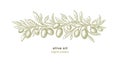 Olive sketch pattern Vector hand draw illustration Royalty Free Stock Photo