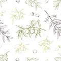 Olive tree branch. Leaves sketch pattern. Hand drawn vintage Italy oil plant. Greece Mediterranean ripe berry fruit Royalty Free Stock Photo