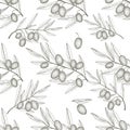 Olive tree branch with olives sketch. Nature pattern. food ingredient background