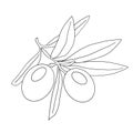 Olive tree branch, silhouette drawing in black and white. Hand drawing illustration, isolated Royalty Free Stock Photo