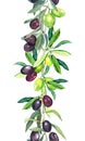 Olive tree branches. Watercolor border stripe