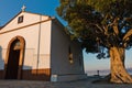 Olive tree and the church of Agios Ioannis Kastri at sunset, famous from Mamma Mia movie scenes, Skopelos Island