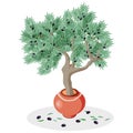 Olive tree in a clay pot decorated with a rope on a white background Royalty Free Stock Photo