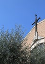 Olive tree with the cross of a Christian Church Royalty Free Stock Photo