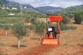 Olive tree cultive in a Mediterranean country. Farmer in a tractor in Spain working for oil agriculture industry.