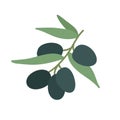 Olive tree doodle icon, vector illustration Royalty Free Stock Photo