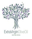 Olive Tree. Extra virgin olive oil symbol.